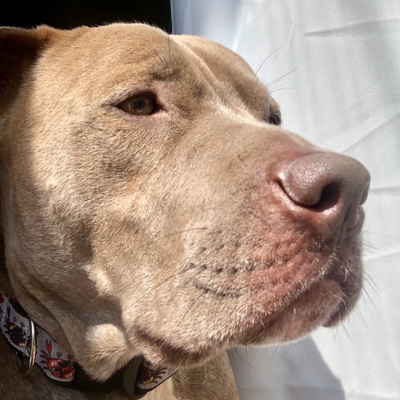 Meet your Posher, Christina - Picture 1 of 1